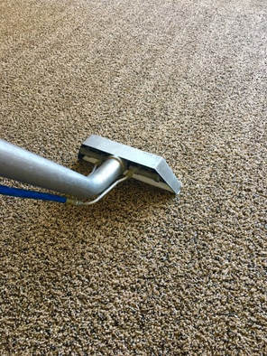 this is a picture of cloverdale carpet cleaning